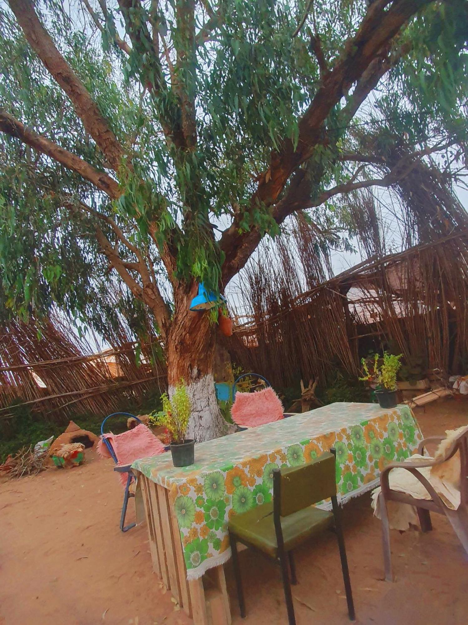 Villa L'Experience Berbere Agadir Esterno foto