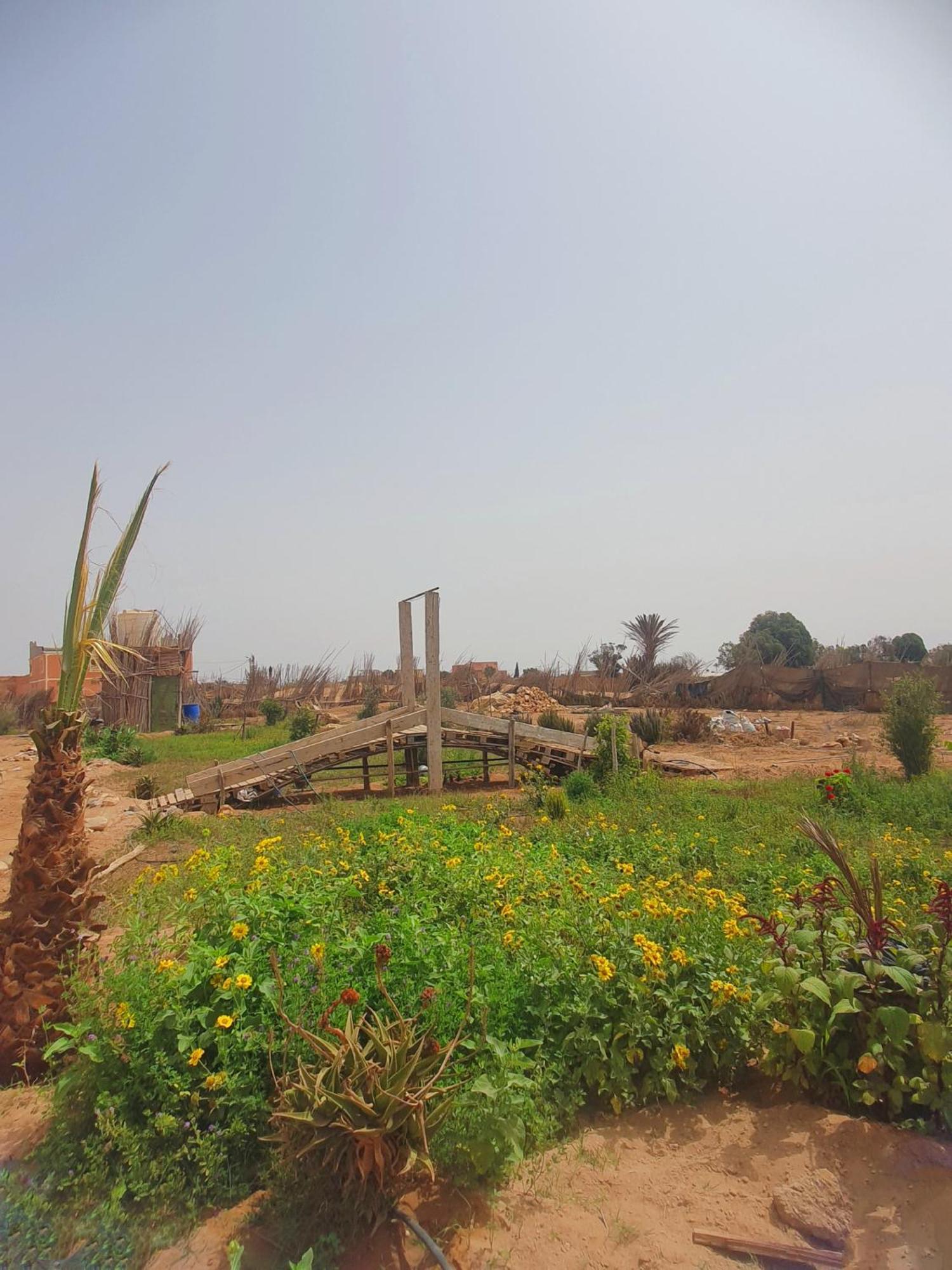 Villa L'Experience Berbere Agadir Esterno foto